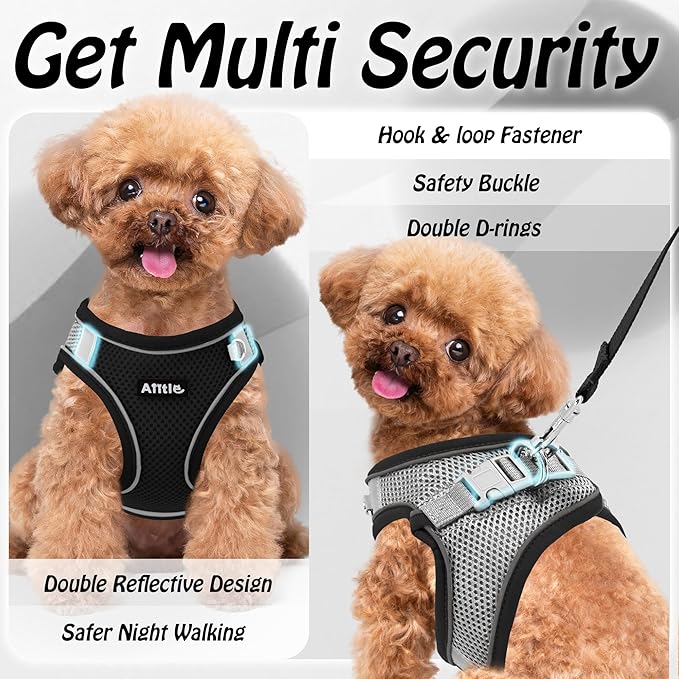 AIITLE Dog Harness, No-Pull Cat Harness with a Leash, Adjustable Reflective Dog Vest, Cat Harness Escape Proof, Outdoor Walking, Running,Training for Extra Small Dogs and House Cats Black XXXS