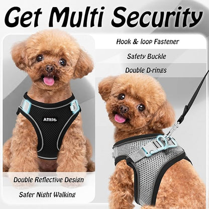AIITLE Step in Dog Harness and Leash Set - No Pull Escape Proof Vest Harnesses with Soft Mesh and Reflective Bands, Adjustable Pet Outdoor Harnesses for Small and Medium Dogs Black M