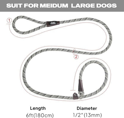 TwoEar 6FT Slip Lead Dog Leash, Heavy Duty Slip Leash for Dogs with Highly Reflective, Strong Rope Slip Leads No Pull Pet Training Leashes for Small Dogs (1/2", Grey)
