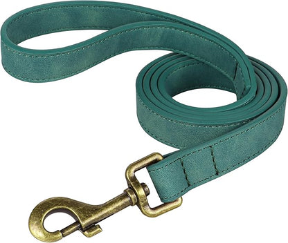 Didog PU Leather Dog Leash, Colorful Dog Leash 4ft, Strong and Durable Faux Leather Lead, Walking and Training Lead for Small Medium Dogs,Green