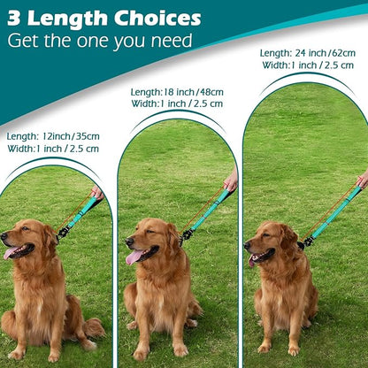 PetBonus Heavy Duty Short Dog Leash, 12 Inch Nylon Traffic Leash with Quick Release Clip, Comfortable Padded Handle, Reflective Training Lead for Medium Large Dogs (Turquoise, 12")