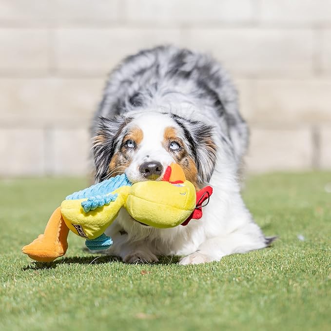 Huxley & Kent Slappies for Dogs | Squeak & Shake Dog Toy | No Stuff Tummy with Squeaky TPR Ball in Head | Simulates Hunting Nature for Dogs (Kernal, Small)