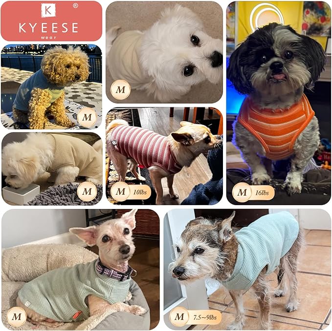 KYEESE 2Pack Dog Shirts Waffle for Small Dogs Stretchy T-Shirts Lightweight Tank Top Sleeveless Dog Vest Breathable Cat Shirt, Medium, Pink+Grey
