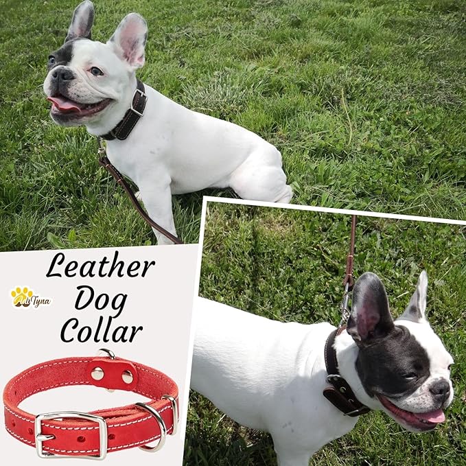Heavy Duty Red Leather Dog Collar for Small Dogs- Soft and Strong Dog Collar for Puppy (Small: Fit 10" - 14.5" Neck, Red)