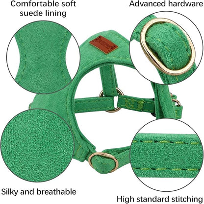 CHEDE No Pull Puppy Harness and Multifunction Dog Leash Set- 8 Colors Soft Adjustable No Choke Escape Proof Cute,Lightweight Pet Vest Harness for Small and Medium Dog (XXS, Green)