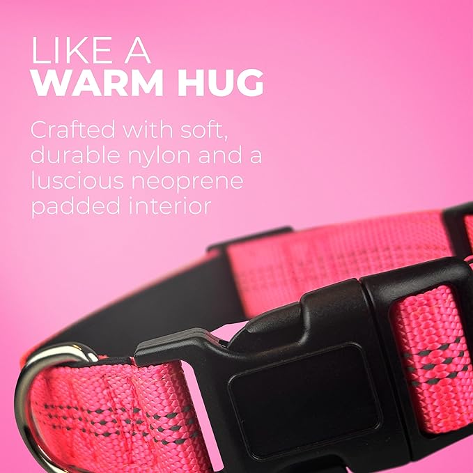 BLAZIN Reflective Dog Collar - Vibrant Color for Day and Night - Soft Neoprene Padded Collar - Adjustable Sizing -'Color Me Happy!' Dog Collars - Brighter Means Safer - (Medium, Pink)