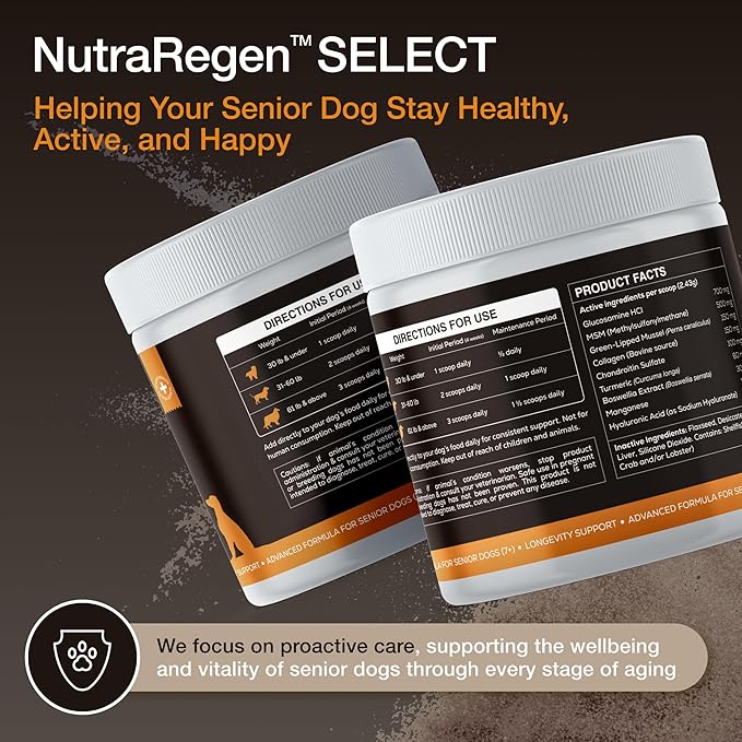 NutraRegen Select Senior Dog Joint Supplement 45 Scoops | Natural Glucosamine Chondroitin for Dogs with Collagen | Hip and Joint Powder | 7.7 Oz