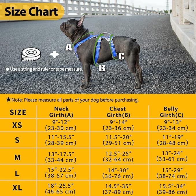 Huntboo Escape Proof Dog Harness, No Pull Reflective Harness with Lift Handle,Adjustable Pet Vest with Front and Back Leash Clips for Small Medium Large Dogs Walking Hiking Training (Sea Blue,L)