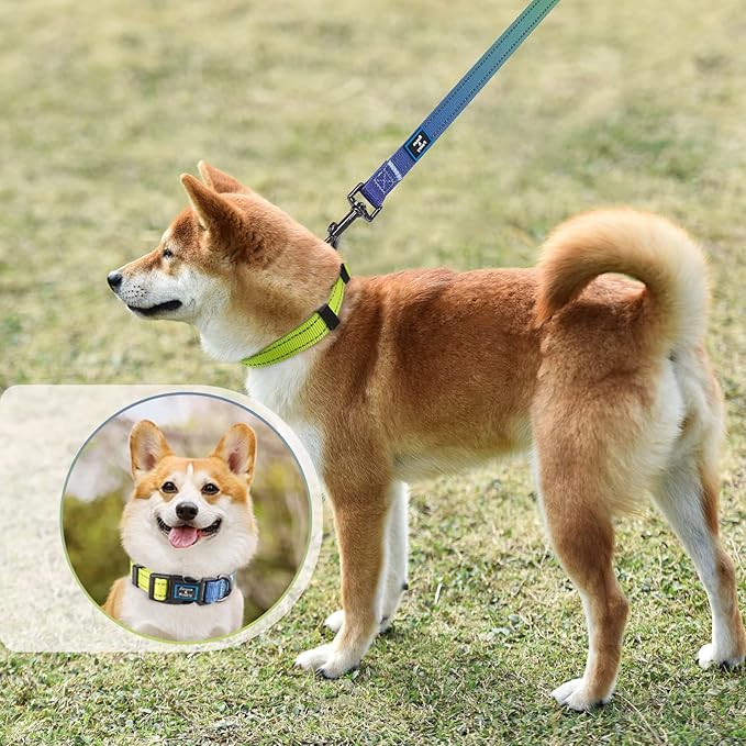 Roses&Poetry Reflective Dog Collar and Leash Set with Gradient Amber, Adjustable Durable Puppy Collars Leash for Extra Small Dogs (Amber-S)