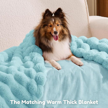 ChiXnuggle Human Dog Bed for Adult - Luxury Striped Faux Fur Giant Dog Bed with Portable Handle, Egg Orthopedic Foam Pad with Thick Blanket, 72"x40"x10", Blue