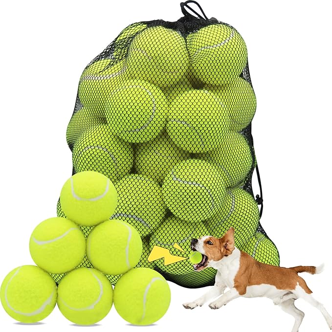 Swingers Squeaky Tennis Balls for Dogs,2.5 inch Training Tennis Balls,Exercise Ball for Pet Dog with Mesh Carry Bag Easy to Transport (Yellow, 60 Pack)