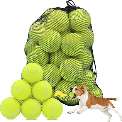 Swingers Squeaky Tennis Balls for Dogs,2.5 inch Training Tennis Balls,Exercise Ball for Pet Dog with Mesh Carry Bag Easy to Transport (Yellow, 60 Pack)