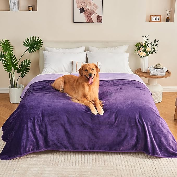 Yaning Waterproof Blanket 40"x60" for Adults, Reversible Waterproof Bed Cover for Dogs Cats Pets, Soft Leakproof Blanket for Bed Couch Sofa Furniture Protector, Dark Purple/Light Purple