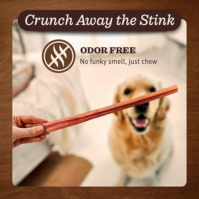 Pet Odor-Free Bully Sticks (12", 5 Pack) – 100% Grass-Fed Beef Pizzle Dog Chews, Fully Digestible & Long-Lasting Dental Treats