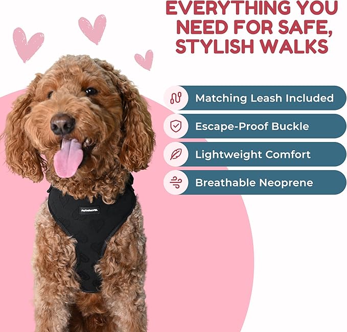 No-Pull, No-Choke Dog Harness & Leash Set – Stylish & Fun – Lightweight, Breathable Neoprene – Unique Heart Pattern – Adjustable for Extra Small to Medium Dogs (Harness Leash Set-Black, X-Small)