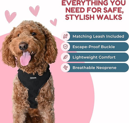 No-Pull, No-Choke Dog Harness & Leash Set – Stylish & Fun – Lightweight, Breathable Neoprene – Unique Heart Pattern – Adjustable for Extra Small to Medium Dogs (Harness Leash Set-Black, X-Small)