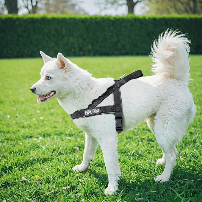EXCELLENT ELITE SPANKER No Pull Dog Harness Padded Military Patrol Vest Adjustable Nylon Small Service Walking Dog Harness with Handle for Training Running(COB-XS)