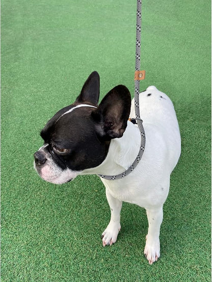 5 FT Slip Lead Dog Leash, Heavy Duty Rope Leash for Small Medium Large Dogs, No Pull Training Lead with Reflective Thread, Strong Comfortable Loop Leash (Grey Stripe, Medium(3/8"))