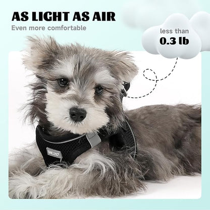 Bolux Dog Harness Small Sized and Leash Set, Step in Soft Light Puppy Vest, Breathable Mesh Pet Harness, Reflective for Safe Easy Walking.
