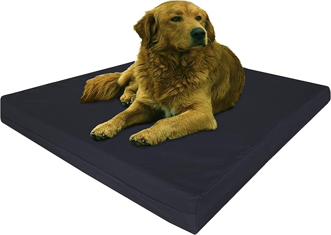 Dogbed4less Extra Large Human Mattress Grade Orthopedic Gel Infused Memory Foam Dog Bed, Strong Waterproof Liner with Durable Washable Canvas Cover, 47X29X4 Inch, Black (Fit 48X30 Crate)