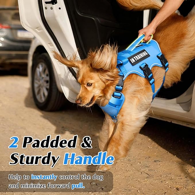 WINSEE Escape Proof Dog Harness, Service Working Molle Harness with Double Handle, Tactical Pet Vest with 4 Patches for Small Medium Large Dogs Walking Hiking Hunting