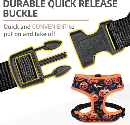 PUPTECK Soft Mesh Dog Harness and Leash Set Pet Puppy Cat Comfort Padded Vest No Pull Harnesses, Halloween Orange, S