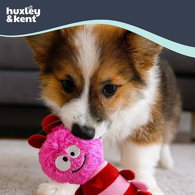 Huxley & Kent Funny Dog Toy w/Squeaker – Valentine's Day Power Plush Squeaky Dog Toys for Small Dogs – Durable Small Stuffed Animal for Indoor Play & Fetch - Tiny Tuff Love Bug