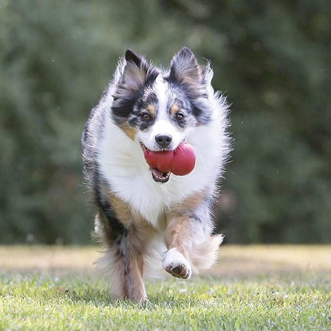 KONG Classic Stuffable Dog Toy - Fetch & Chew Toy for Dogs - Treat-Filling Capabilities & Erratic Bounce for Extended Play Time - Durable Natural Rubber Material - for XX-Large Dogs