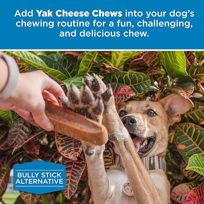 Best Bully Sticks Himalayan Yak Cheese for Dogs - Medium 4 Count (Pack of 1) - Natural, No Lactose, Odor Free, Long-Lasting Snack