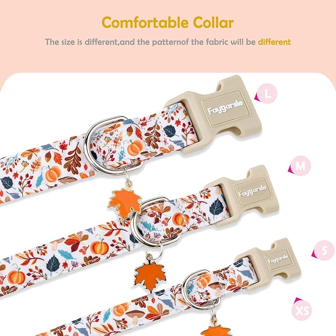 Faygarsle Fall Dog Collar, Autumn Floral Pattern with Maple Leaf Charm, White with Pumpkins and Leaves for Small Medium Large Dogs XS