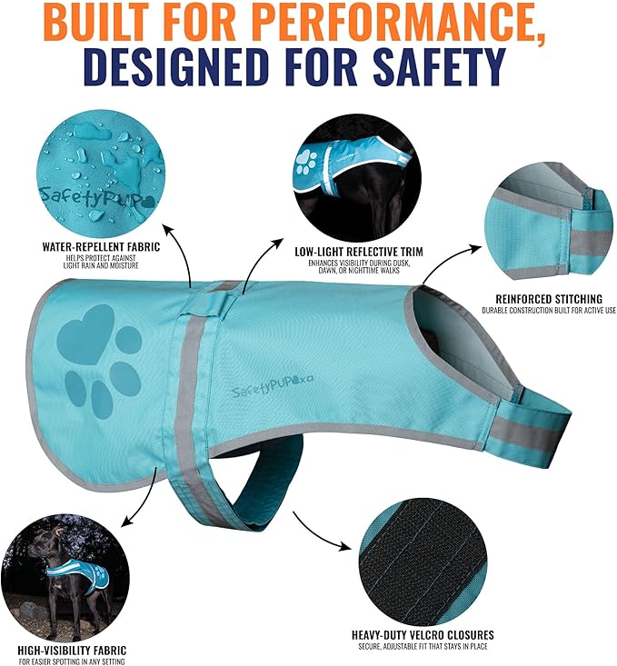 SafetyPUP XD Dog Reflective Vest – Hi-Vis Fluorescent Visibility That Helps to Safeguard Your Pet On/Off Leash in Urban & Rural Areas (Teal, Medium)
