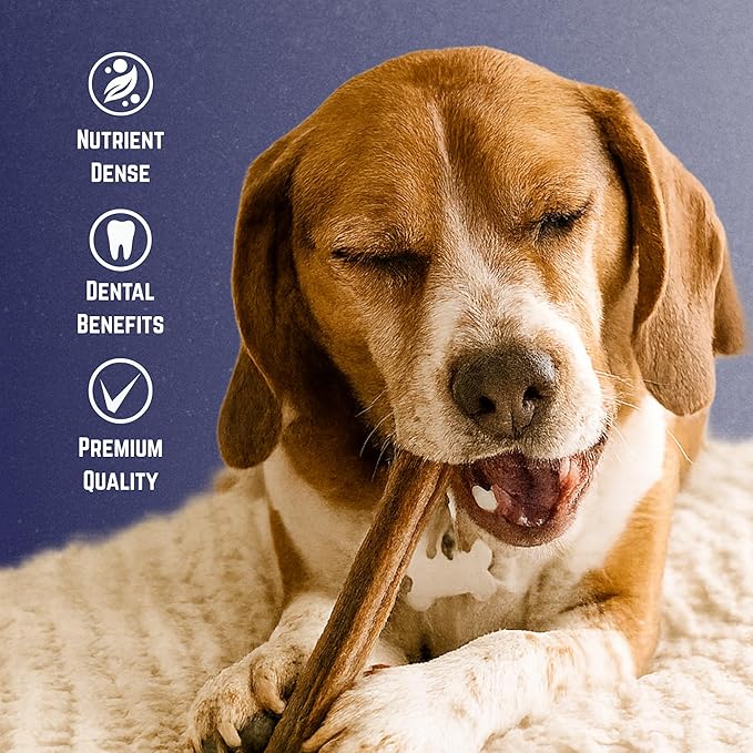 Devil Dog Pet Co. Bully Sticks – 12 Inch, 10 Pack, Standard Sized Dog Chews, 100% Natural, Single Ingredient, Free-Range Grass-Fed Beef – Long Lasting, Rawhide-Free Treats for Dogs