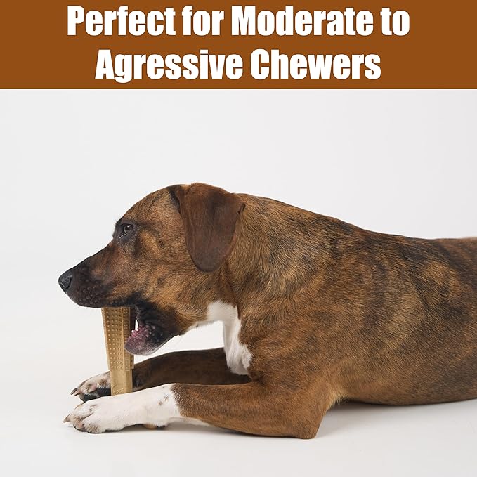SPOT Bam-Bones Plus T-Bone, Bamboo Fiber & Nylon Dog Chew, Durable for Aggressive Chewers, Non-Splintering, for Adult Dogs & Teething Puppies Under 60lbs, 6in, Chicken Flavor