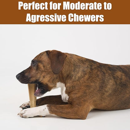 SPOT Bam-Bones Plus T-Bone, Bamboo Fiber & Nylon Dog Chew, Durable for Aggressive Chewers, Non-Splintering, for Adult Dogs & Teething Puppies Under 60lbs, 6in, Chicken Flavor