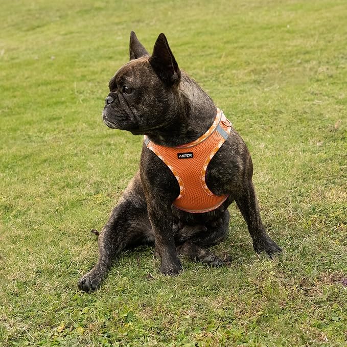 AMTOR Small Dog Harness with Leash Set, No Escape Easy Walk Puppy Harnesses for Training Walking, Step-in Reflective Soft Dogs Vest for XS S Medium Extra-Small Large Sized Dog(S Size,Orange/White)