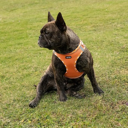 AMTOR Small Dog Harness with Leash Set, No Escape Easy Walk Puppy Harnesses for Training Walking, Step-in Reflective Soft Dogs Vest for XS S Medium Extra-Small Large Sized Dog(XL Size,Orange/White)