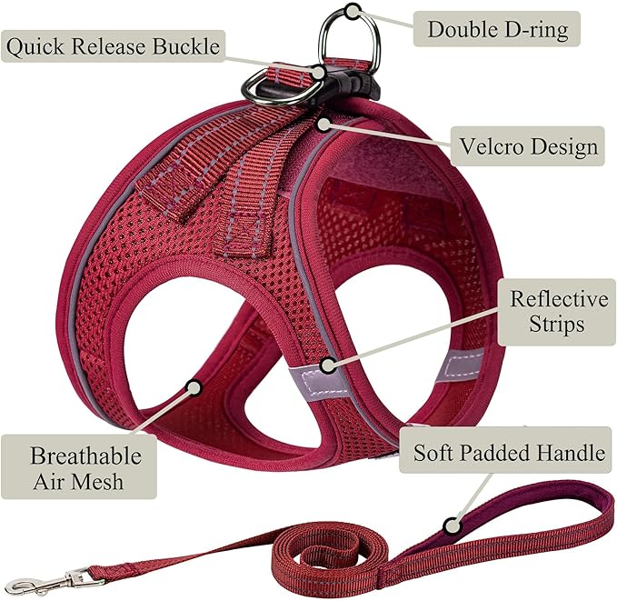 Dog Harness with Leash Set, No Pull Adjustable Reflective Step-in Puppy Pet Vest Harnesses for Small Medium Large Dogs and Cats,Red S