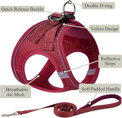 Dog Harness with Leash Set, No Pull Adjustable Reflective Step-in Puppy Pet Vest Harnesses for Small Medium Large Dogs and Cats,Red S