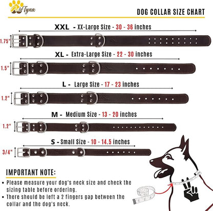 ADITYNA Heavy Duty Leather Dog Collar for Medium Dogs - Soft and Strong Collar for Walking, and Training (Medium: Fit 13" - 20" Neck, Brown - Gold Colored Buckle)