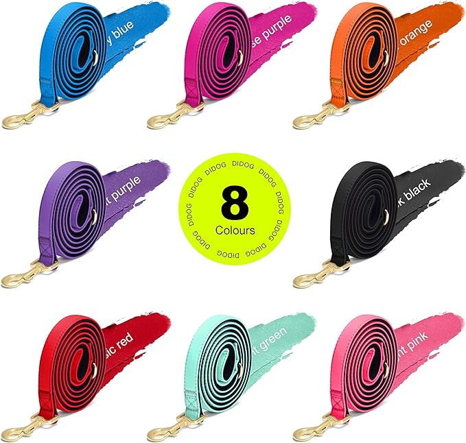 Didog 5FT Colorful Nylon Dog Leash with Soft Full-Length Padding, Lightweight and Durable Pet Leash for Small Dogs, Black, S