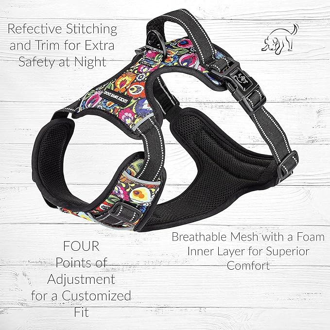 Lucky Love Dog No Pull Dog Harness, Adjustable and Easy to Walk, Cute Patterned Harness for Small Medium Large Male & Female Dogs - Blackbird, Small