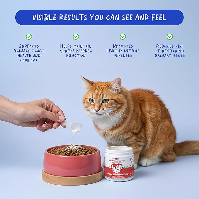 Cranberry for Cats - Urinary Tract Support, Bladder Health, Dog UTI, Bladder Stones, Incontinence Support (Powder for Cats)