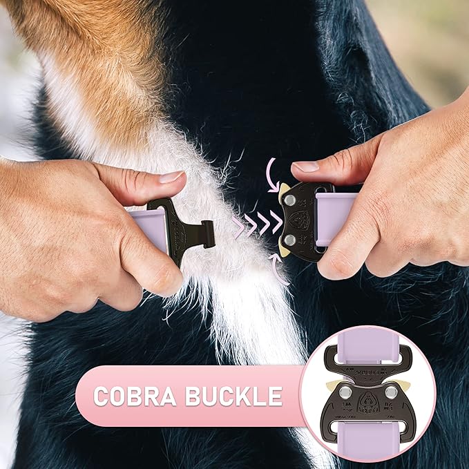 NexaPaw Biothane Dog Collar with Cobra Buckle - Made in USA - QR Code Dog Tag ID Included - Adjustable Heavy Duty Dog Collars for Medium Large Dogs - Waterproof Military Grade Tactical Collar for Dogs