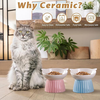 Wellbro Ceramic Raised Cat Bowl，Tilted Raised Bowl Anti Vomit Bowls for Indoor Cats Whisker Friendly Pet Feeder for Cats Puppies, Microwave and Dishwasher Safe