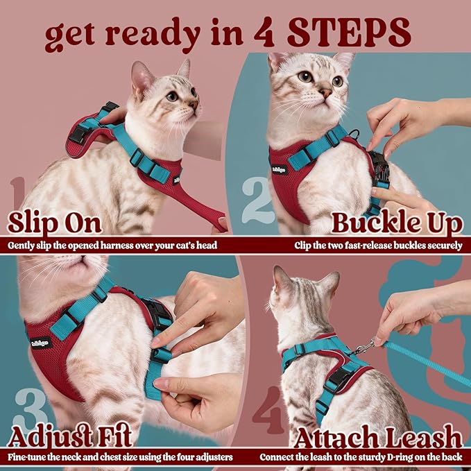 rabbitgoo Cat Harness and Leash for Walking, Escape Proof Soft Adjustable Vest Harnesses for Cats, Easy Control Breathable Reflective Strips Jacket, Red & Teal, S