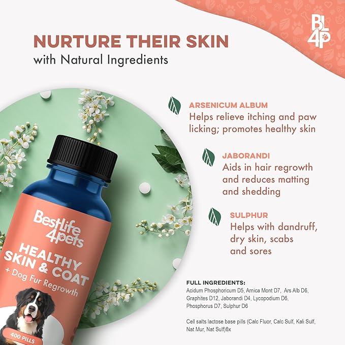 Natural Skin & Coat Supplement for Dogs, Large and Small, Dog Anti Itch Relief for Dry Skin, Rash, Allergy or Irritation, Reduces Shedding, Dandruff and Supports Dog Hair Growth, 400 Small Pills