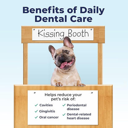Vetnique Dentabliss - Dog Teeth Cleaning Finger Mitt Dental Wipe - Dog Plaque & Tartar Prevention with Brushing Beads - Flavored Dog Teeth Wipes, Dog Breath Freshener (Chicken)