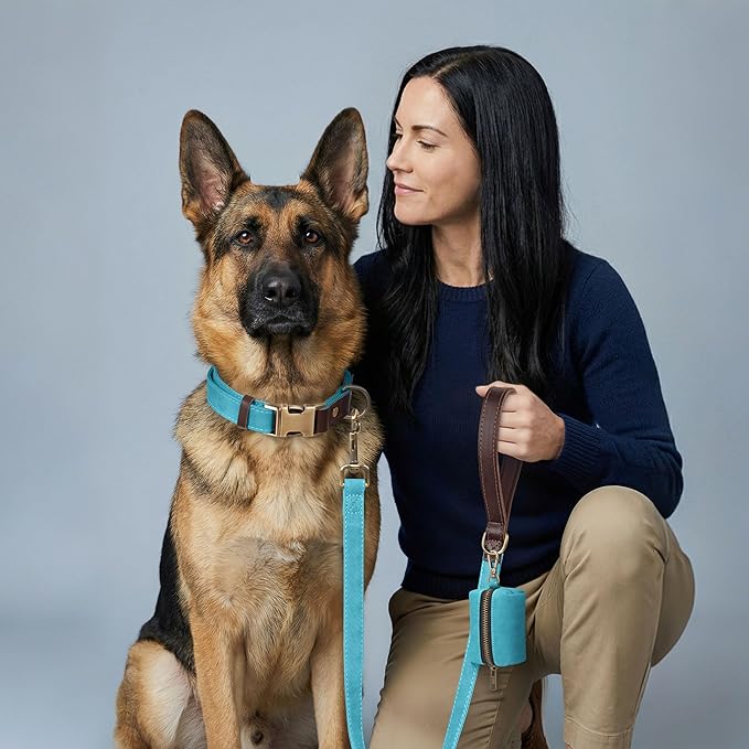 Didog Soft PU Leather Dog Collar for Large Dogs,Classic Adjustable Wide Dog Collars with Quick Release Metal Buckle,Easy Clean and Comfortable with Nylon Lining,Light Blue,XL Neck 20-27", Width 1.2"