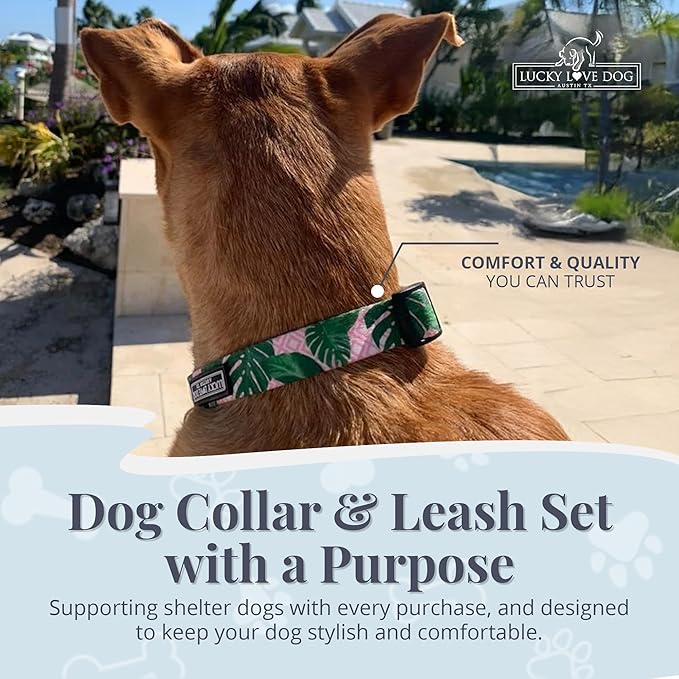 Lucky Love Dog, Tropical Matching Dog Collar & Leash Set, Soft & Comfy, Vivid Pink Color Collar and Leash for Female Male Dogs - (Medium, Laguna Combo)