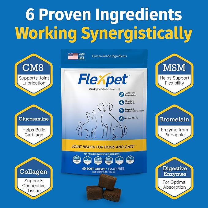 Hip & Joint Supplement for Dogs & Cats with Cetyl Myristoleate, Glucosamine, Collagen, MSM - Max Strength Joint Support for Mobility, Senior Pets, Large Breeds - 180 Soft Chews (Bacon/Cheese)